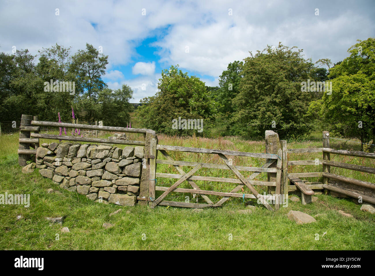 Altes Tor und Mauer mit Stiel, Longnor, Staffordshire.UK Stockfoto