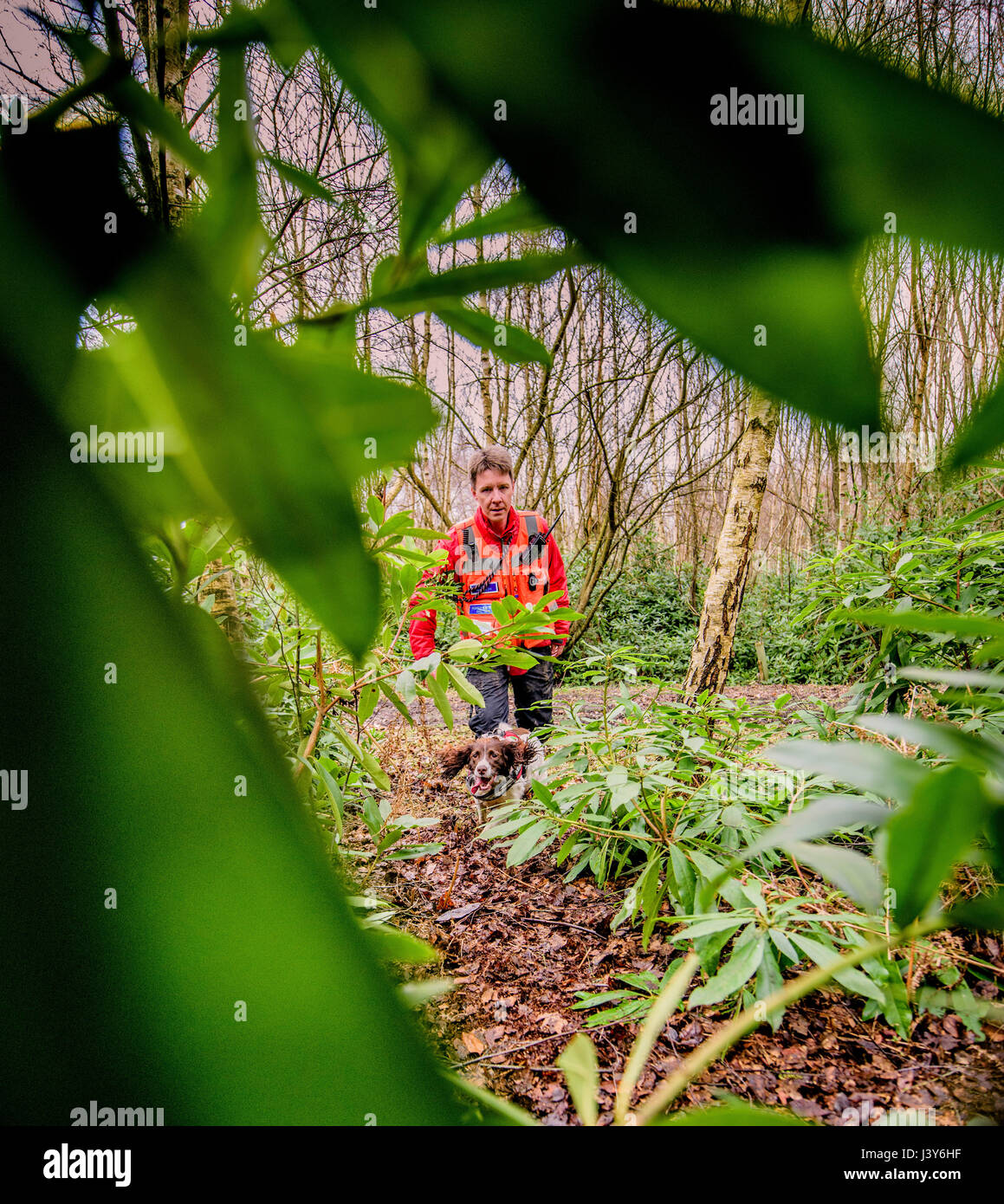 Das Team von Freiwilligen mit den Lowland Search and Rescue Dogs in West Sussex. Stockfoto