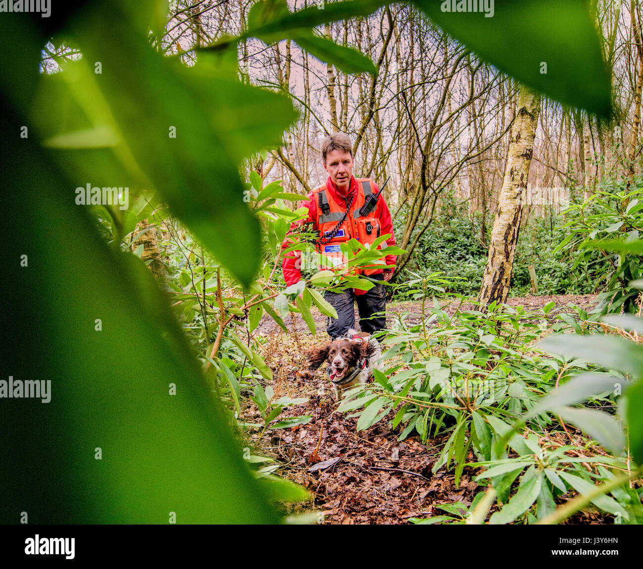 Das Team von Freiwilligen mit den Lowland Search and Rescue Dogs in West Sussex. Stockfoto
