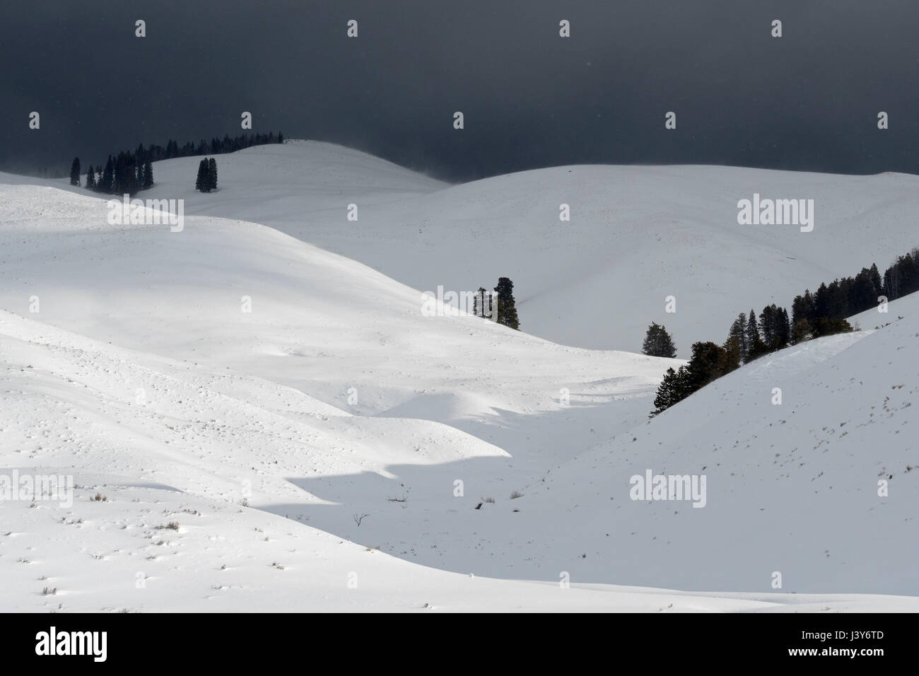 Kommende Blizzard, letzten Sonnenlicht, starker Wind Strahlen Schnee über kahle Hügel, bedrohlich dunklen schwarzen Himmel, schlechtes Wetter über Hügel von Lamar Valley, USA Stockfoto