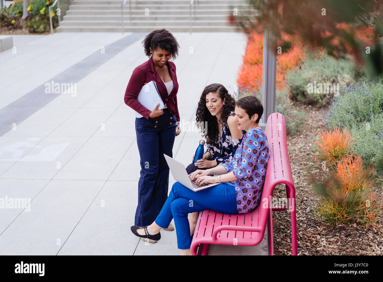 Drei Frauen im Freien, Blick auf laptop Stockfoto