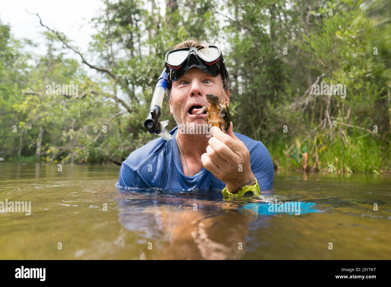 Mann im Wasser hält Schlamm Schildkröte, ziehen Gesicht, Türkei Creek Niceville, Florida, USA Stockfoto