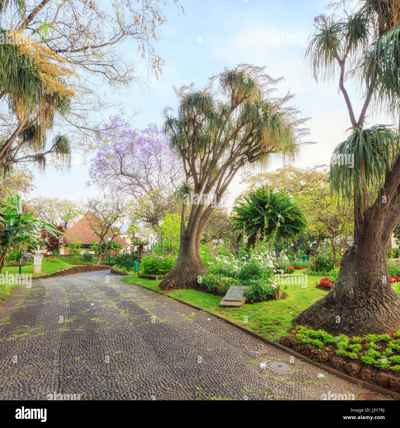 Innenstadt von Funchal, Madeira Stockfoto