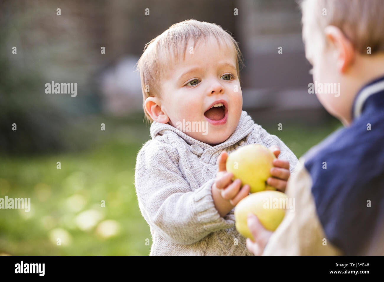 zwei Kleinkinder Jungen spielen mit Äpfel im Garten Stockfoto