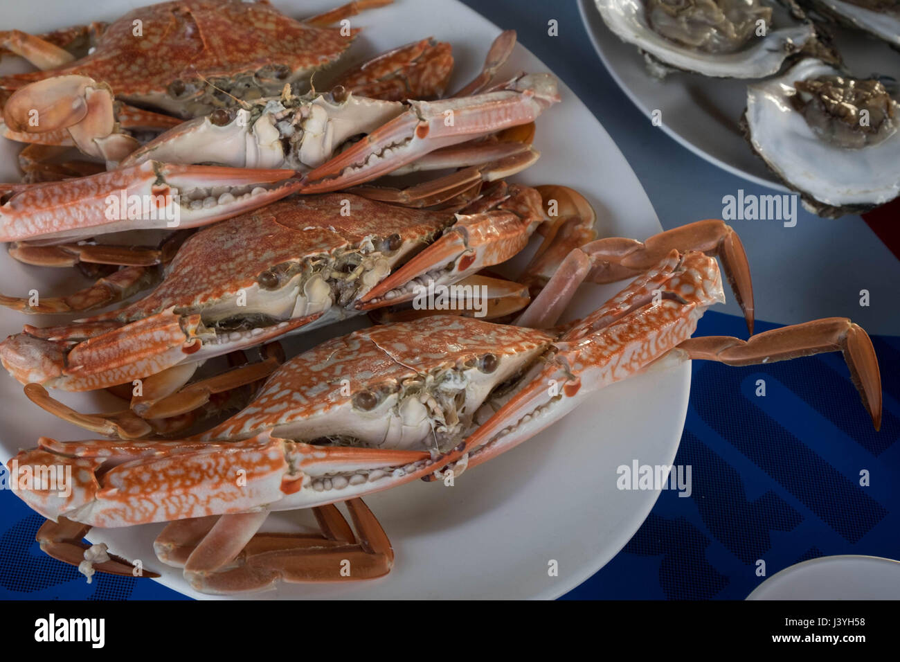 World Cuisine Asia - Thai Seafood Blume Krabben gedünstet Stockfoto