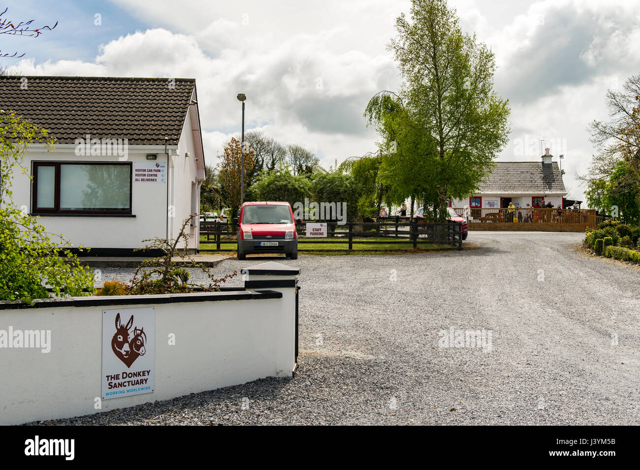 Donkey Sanctuary in Liscarroll, Irland. Nächstenliebe, Textfreiraum, Esel, blauer Himmel Stockfoto