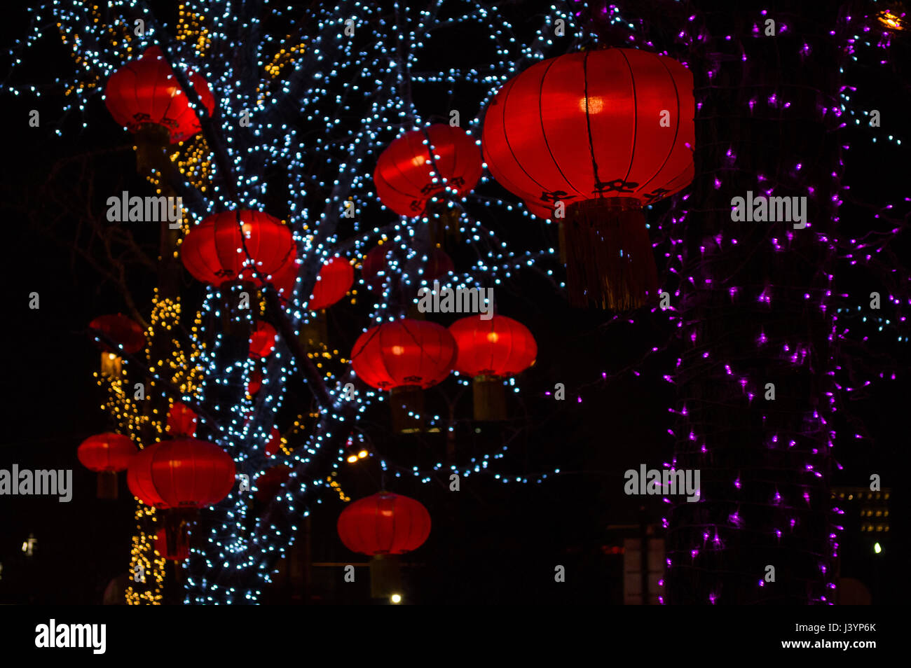 Rote Lampions mit Lichterketten beleuchtet in der Nacht in einem Baum,  Peking, China Stockfotografie - Alamy