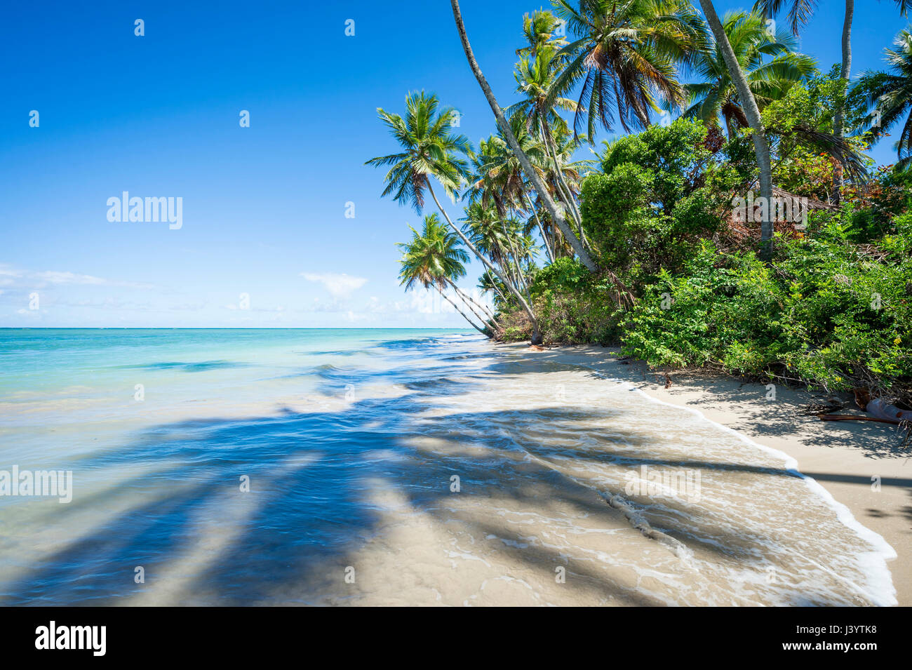 Malerische Aussicht auf einem abgelegenen brasilianischen Strand mit Schatten der Palmen fallen an der Küste in Bahia, Brasilien Stockfoto