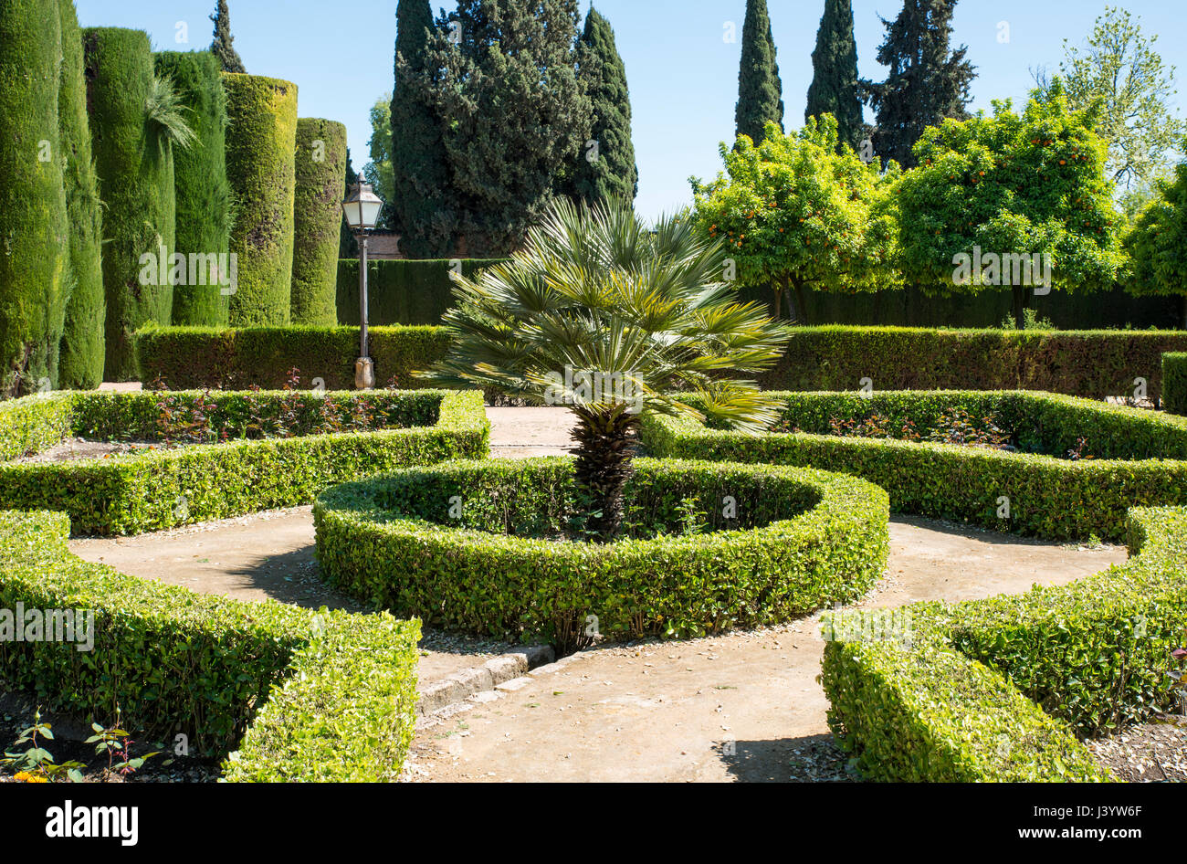 Schöner Garten mit Buxus und eine Palme in der Mitte Stockfoto