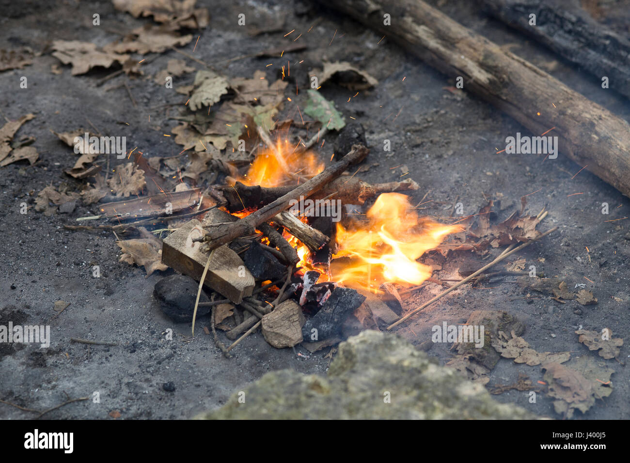 Eiche Holz-Feuer in einem Wald Stockfoto