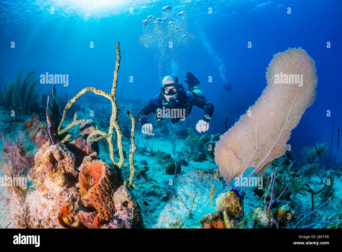 Taucher in einem technischen Sidemount-Anordnung an einem tropischen Korallenriff Stockfoto