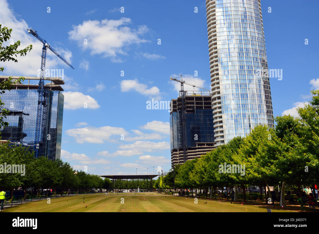 Baukräne dominieren die Skyline während einer Bau-Boom an neuen Wohnungen und Büros in der Innenstadt von Dallas von Klyde Warren Park. Stockfoto