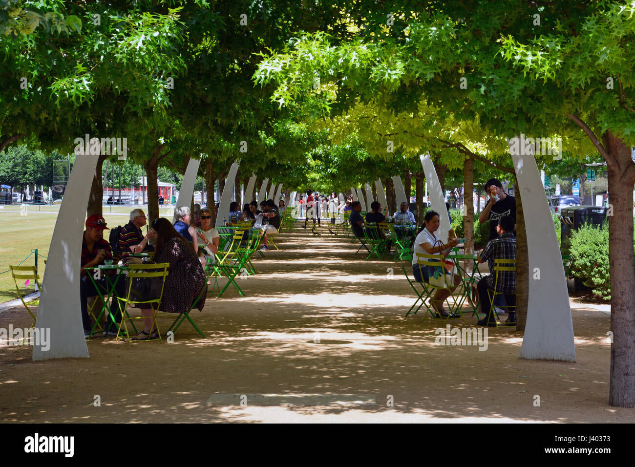 Öffentliche Sitzgelegenheiten unter Eichen und dekorative Bögen Linie, die die Promenade am Klyde Warren Park einer vertieften Autobahn in der Innenstadt von Dallas oberhalb Stockfoto