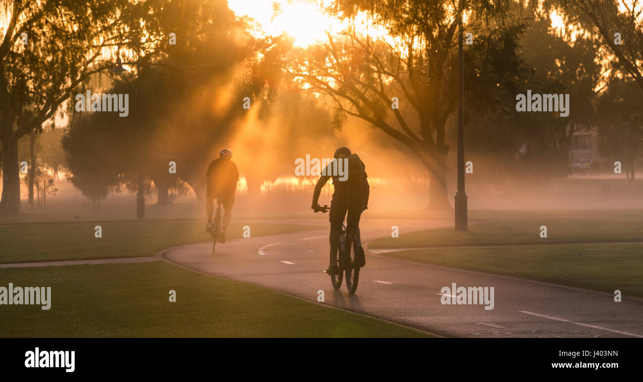 Zwei Männer Radfahren durch den Nebel auf einem Radweg bei Sonnenaufgang. South Perth, Western Australia, Australia Stockfoto