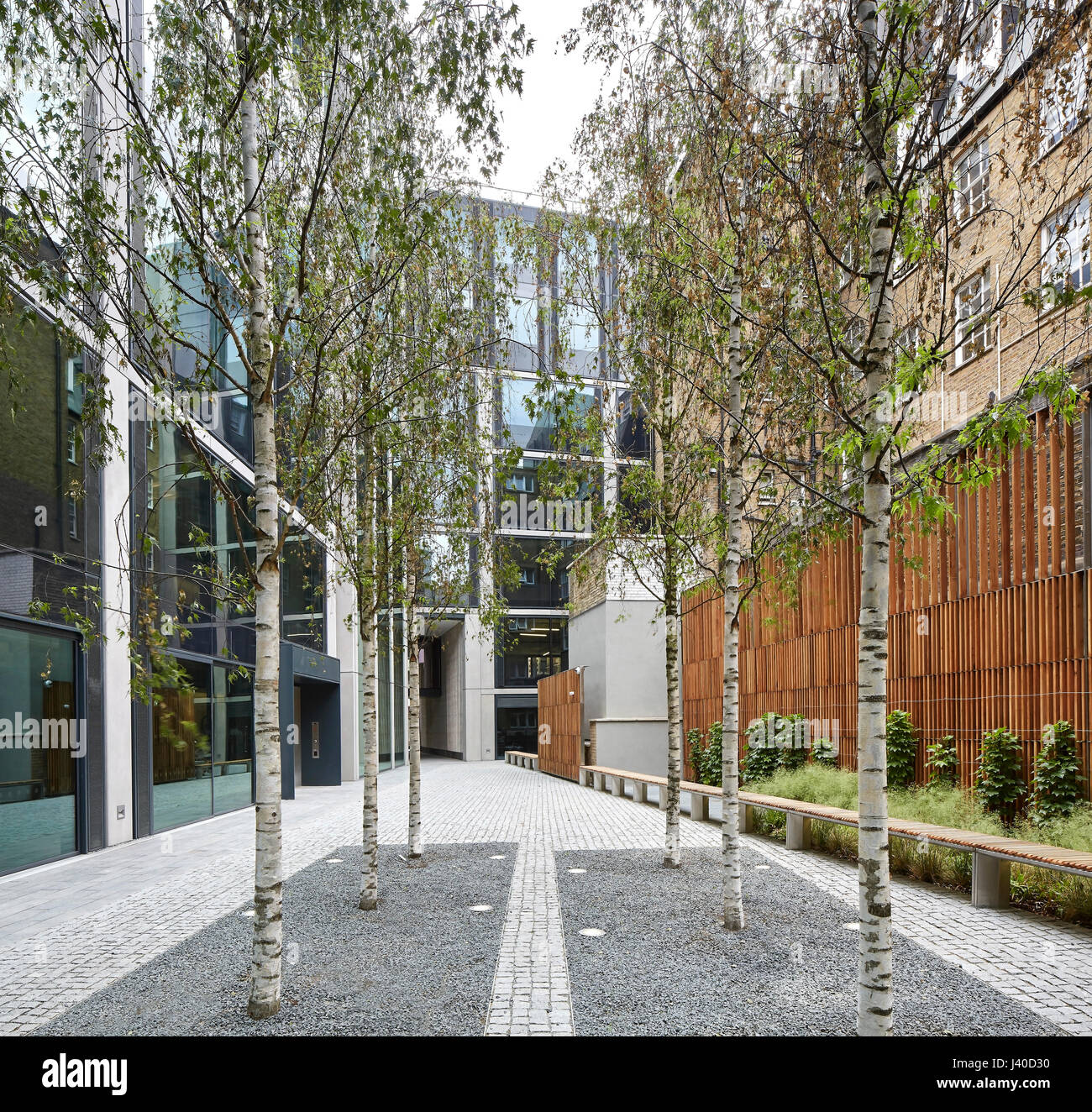 Begrünten Innenhof führt zu gated Unterführung. Chancery Lane, London, Vereinigtes Königreich. Architekt: Bennetts Associates Architects, 2015. Stockfoto