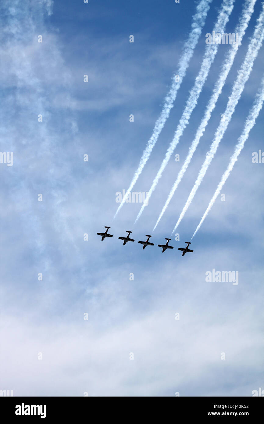 Kanadische Snowbirds fliegen in Formation bei einer Airshow. Stockfoto