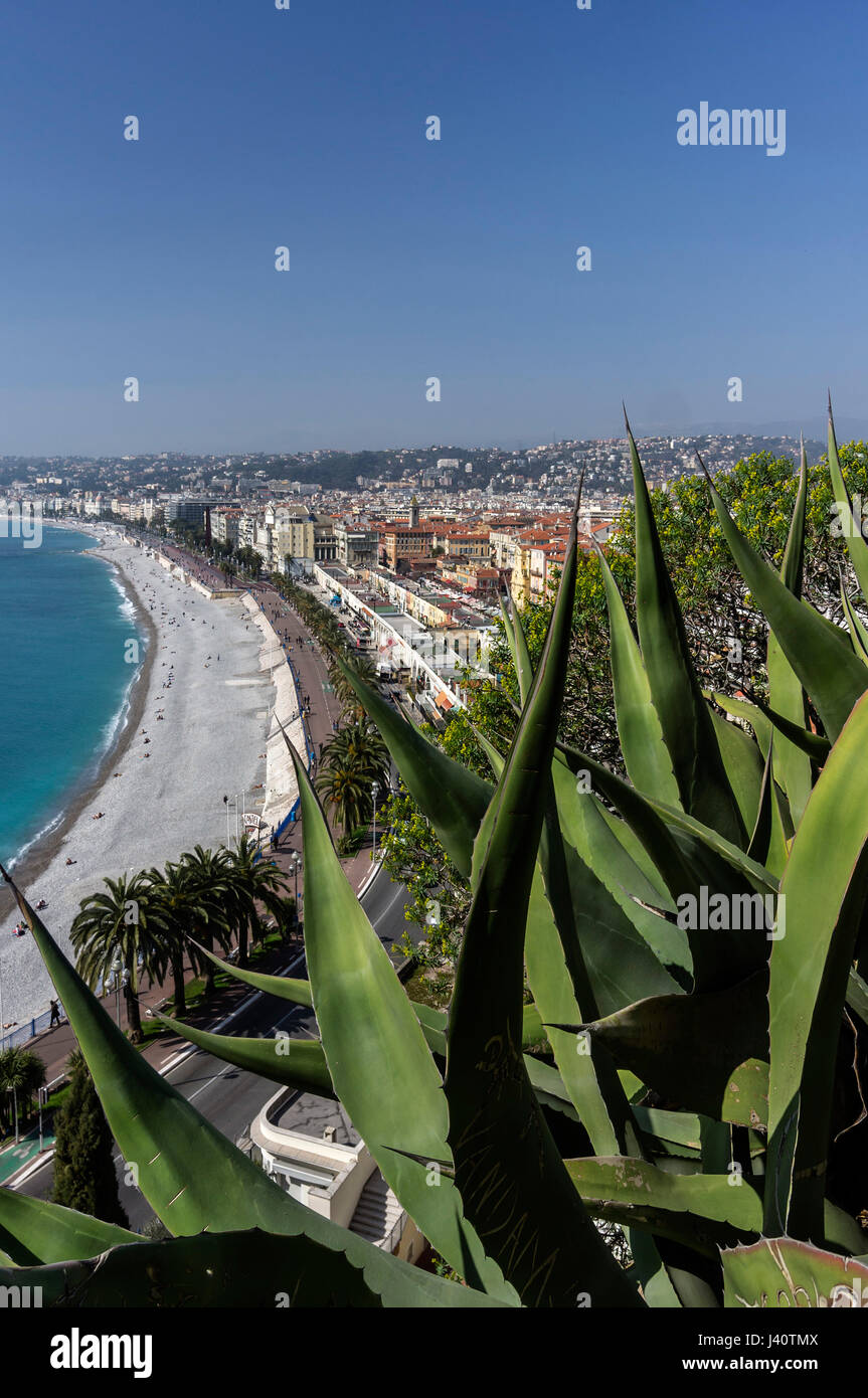 Erhöhten Blick auf die schöne Skyline, Promenade des Anglais, Alpes Maritimes, Provence, Côte d ' Azur, Mittelmeer, Frankreich, Europa Stockfoto