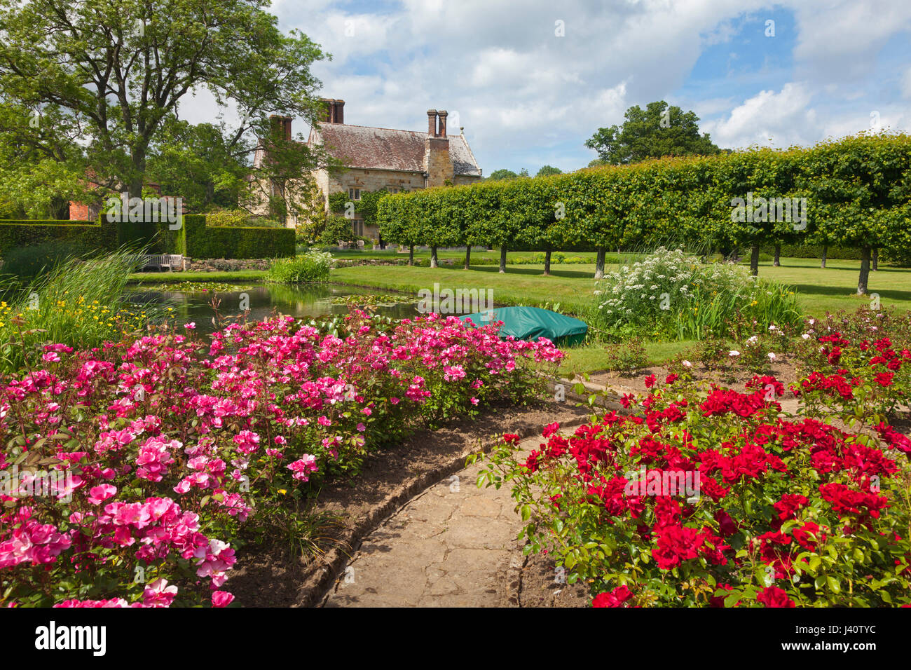 Blick vom Rosengarten über den Seerosenteich, das Herrenhaus, Bateman, Heimat des Schriftstellers Rudyard Kipling, East Sussex, Großbritannien Stockfoto
