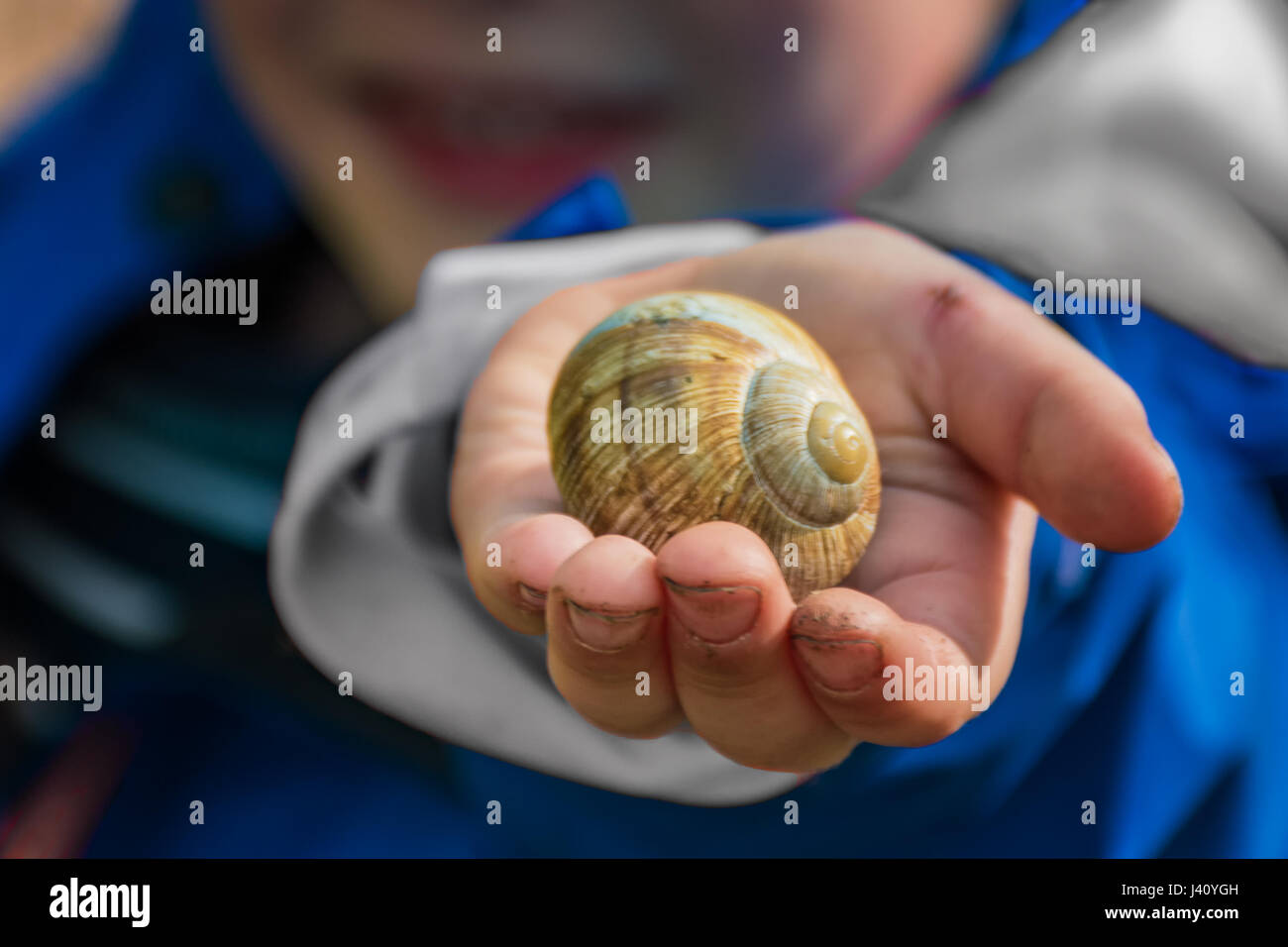 Kleiner Junge zeigt eine Schnecke in seiner Hand Stockfoto