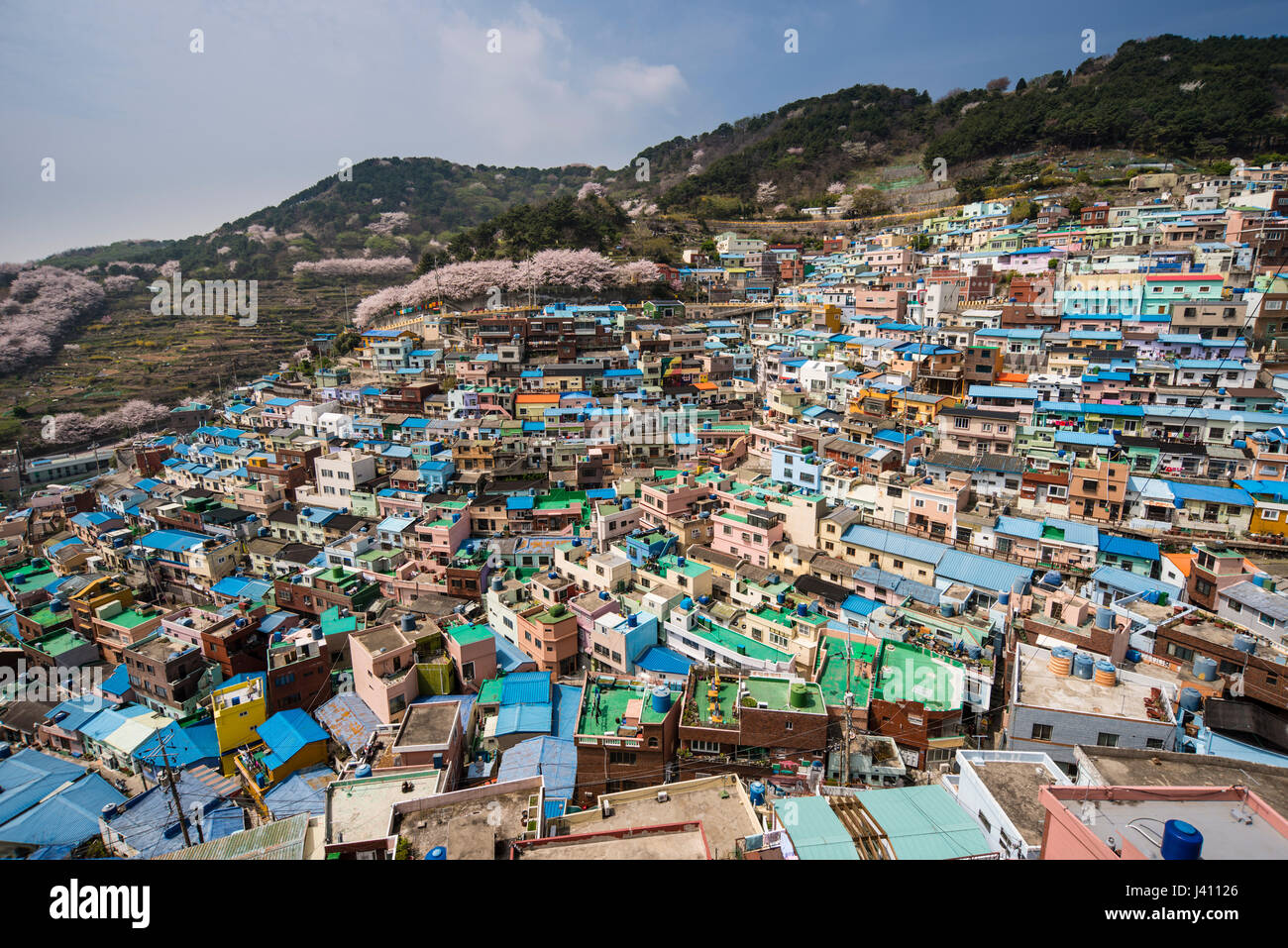Ansicht von bunt bemalten Häusern in Gamcheon Culture Village, Busan Gwangyeoksi, Südkorea Stockfoto