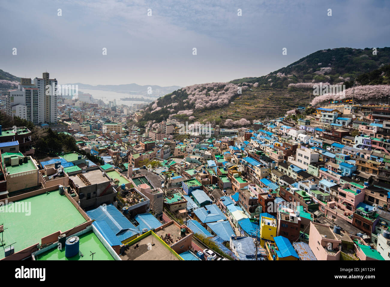 Ansicht von bunt bemalten Häusern in Gamcheon Culture Village, Busan Gwangyeoksi, Südkorea Stockfoto