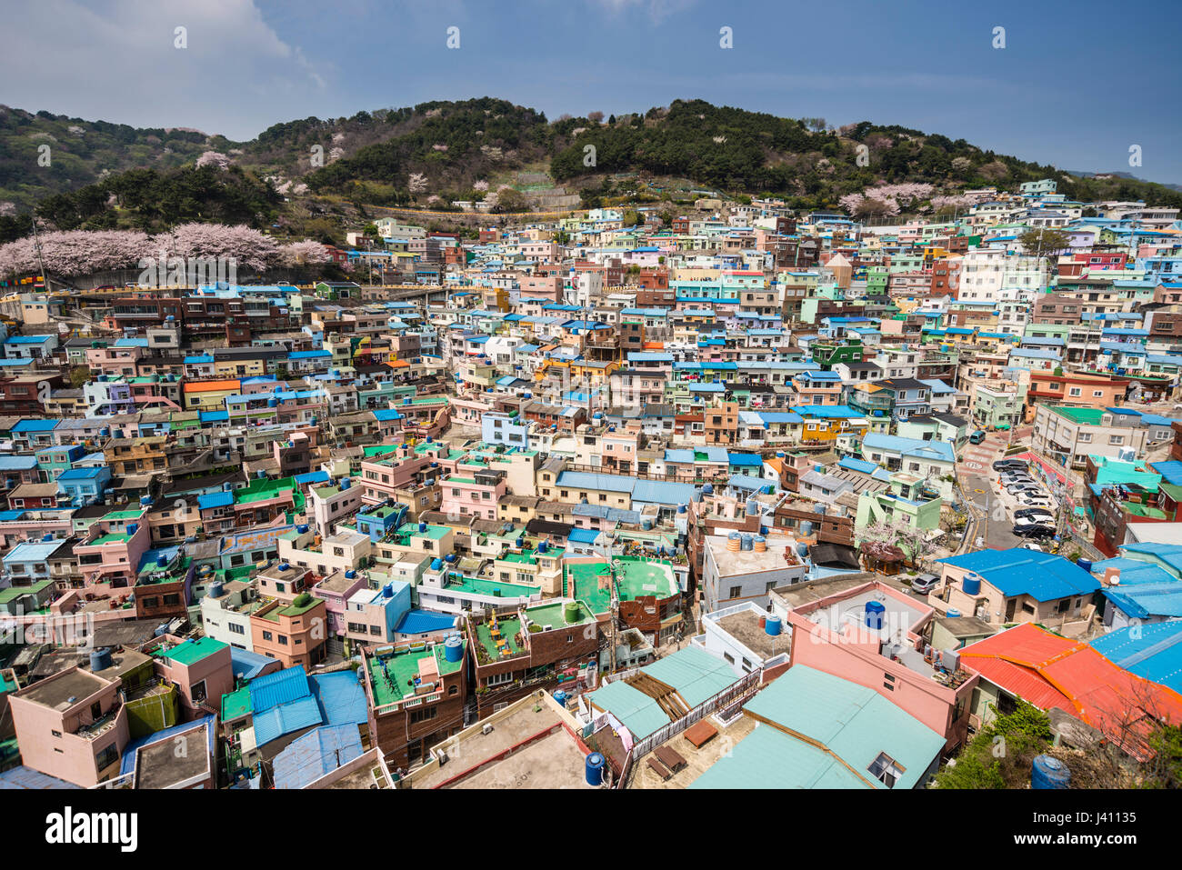 Ansicht von bunt bemalten Häusern in Gamcheon Culture Village, Busan Gwangyeoksi, Südkorea Stockfoto