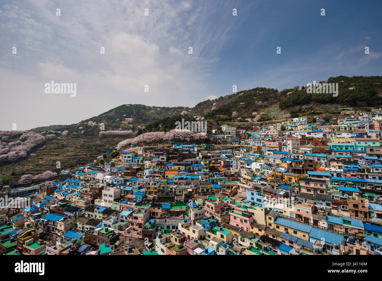 Ansicht von bunt bemalten Häusern in Gamcheon Culture Village, Busan Gwangyeoksi, Südkorea Stockfoto