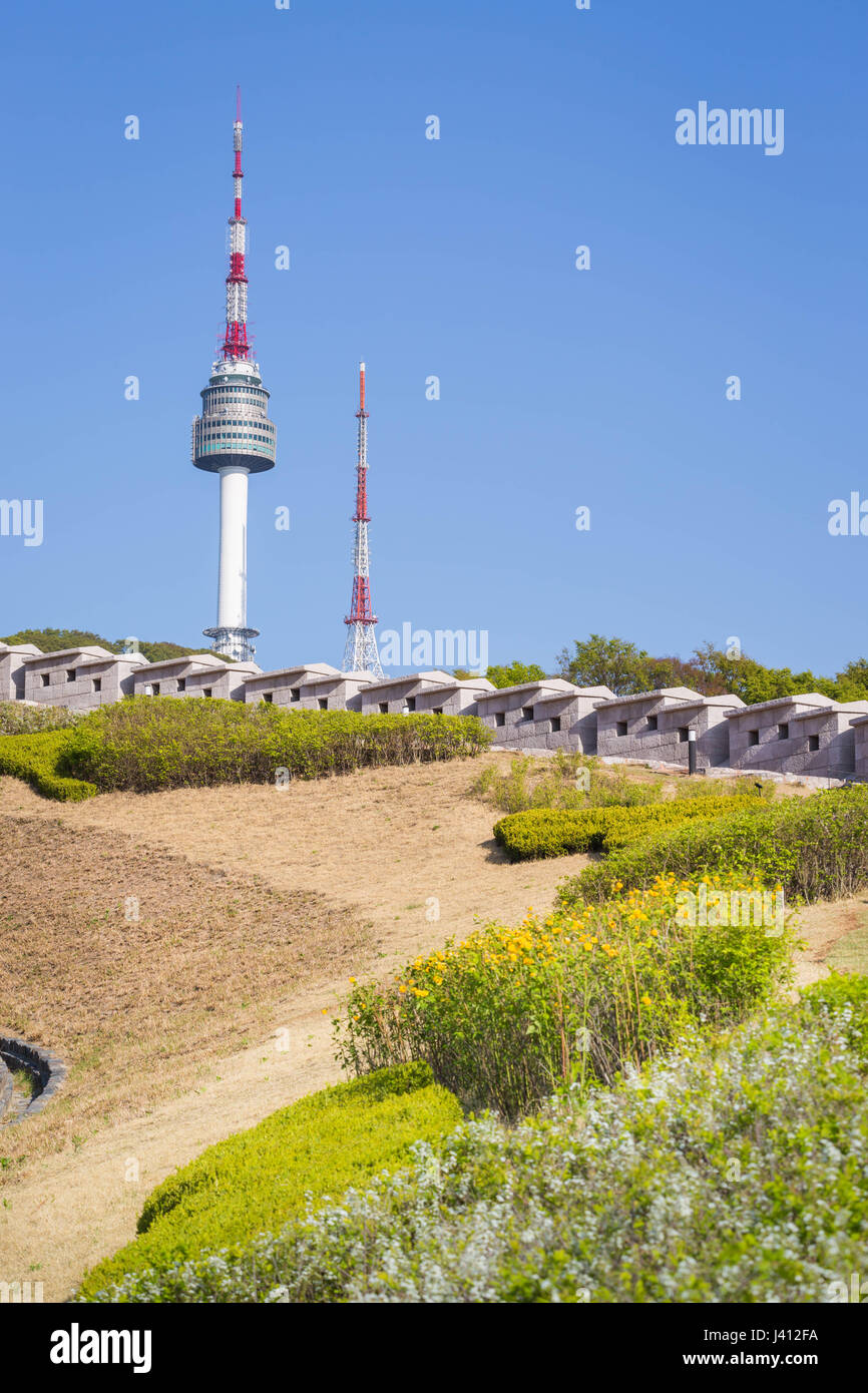 Namsan Park und N Seoul Tower, blühen im Vordergrund unscharf Stockfoto