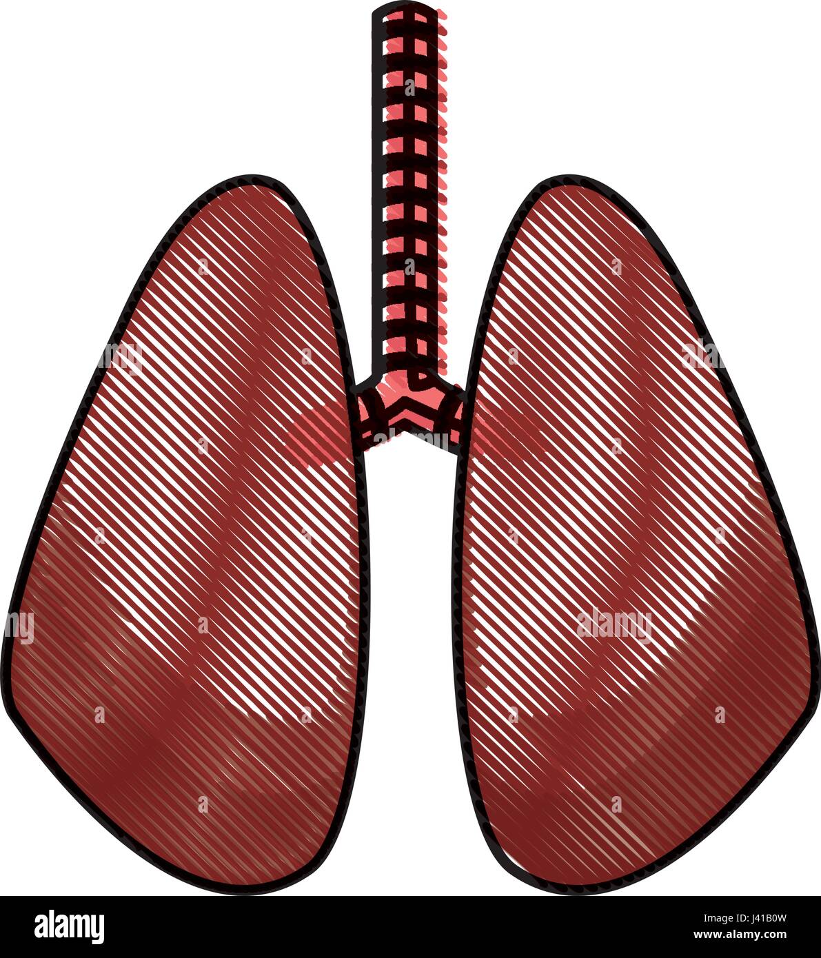 Zeichnung Lunge menschliche Organ gesund Stock Vektor