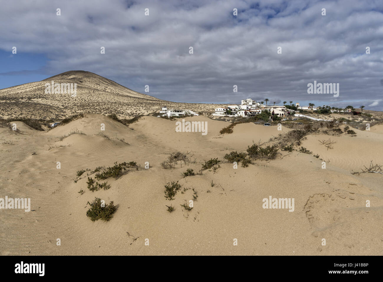 Strand und Dünen, Playa Sotavento de Jandia, Fuerteventura, Kanaren, Spanien Stockfoto