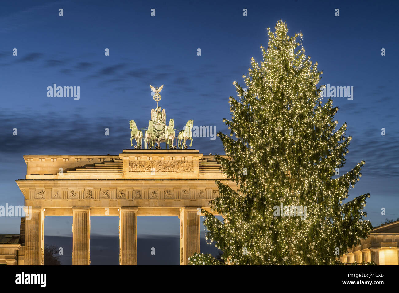 Weihnachtsbaum am Pariser Platz und Brandenburger Tor, Berlin Deutschland Stockfoto