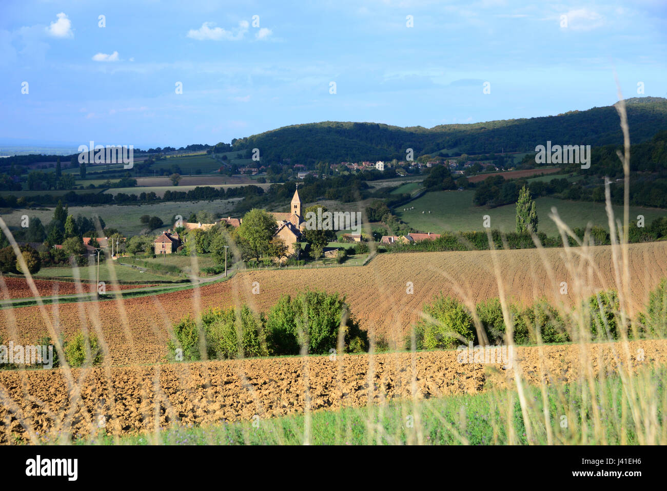 Landschaft am Martailly in der Nähe von Cluny, Saon-et-Loire, Burgund, Frankreich Stockfoto
