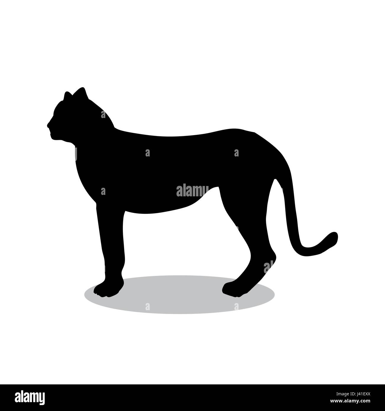 Cheetah wildcat schwarze Silhouette Tier Stock Vektor