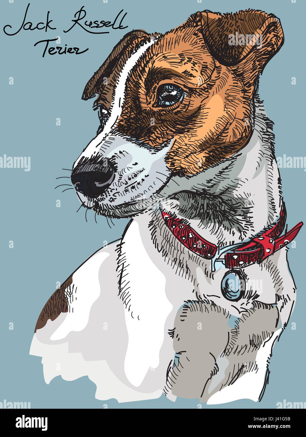Bunte Vektor-Porträt von Hund Jack Russel Terrier hand Zeichnung Illustration auf blauem Hintergrund Stock Vektor