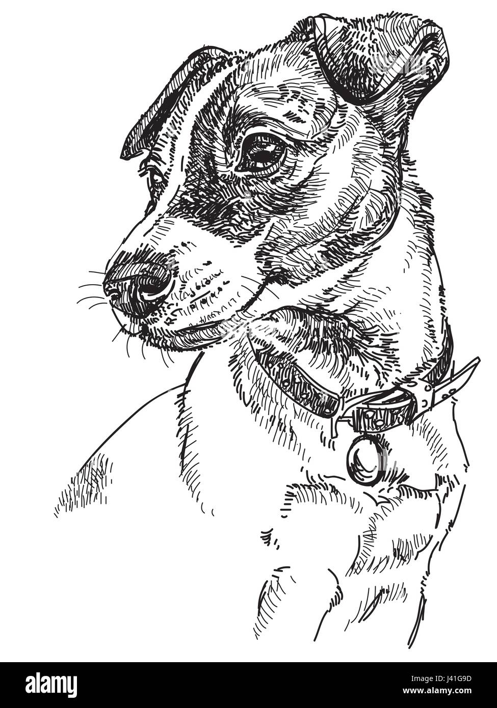 Vektor-Porträt von Hund Jack Russel Terrier in schwarzer Farbe hand Zeichnung Illustration auf weißem Hintergrund Stock Vektor