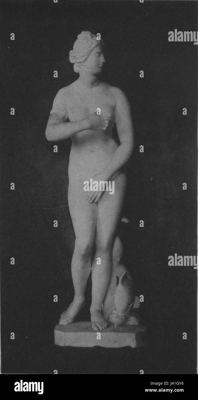 Ludwig Hofer, Venus von Medici Stockfoto