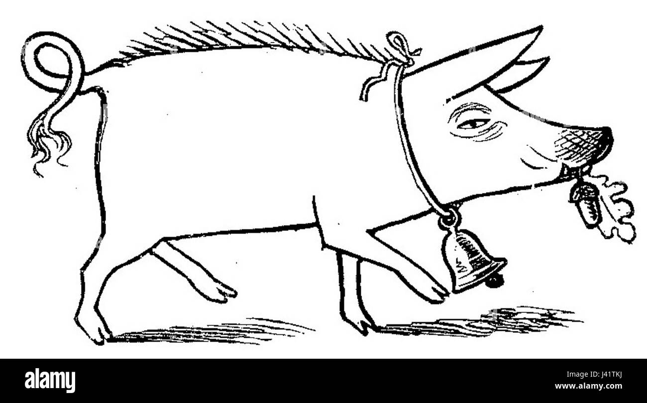 Das Buch „lustige Naturgeschichte oder Zoologia Comica“ bietet eine humorvolle Auseinandersetzung mit dem Tierreich und verbindet wissenschaftliche Beobachtungen mit Comic-Illustrationen. Es ist ein Werk, das Naturgeschichte mit Unterhaltung verbindet. Stockfoto