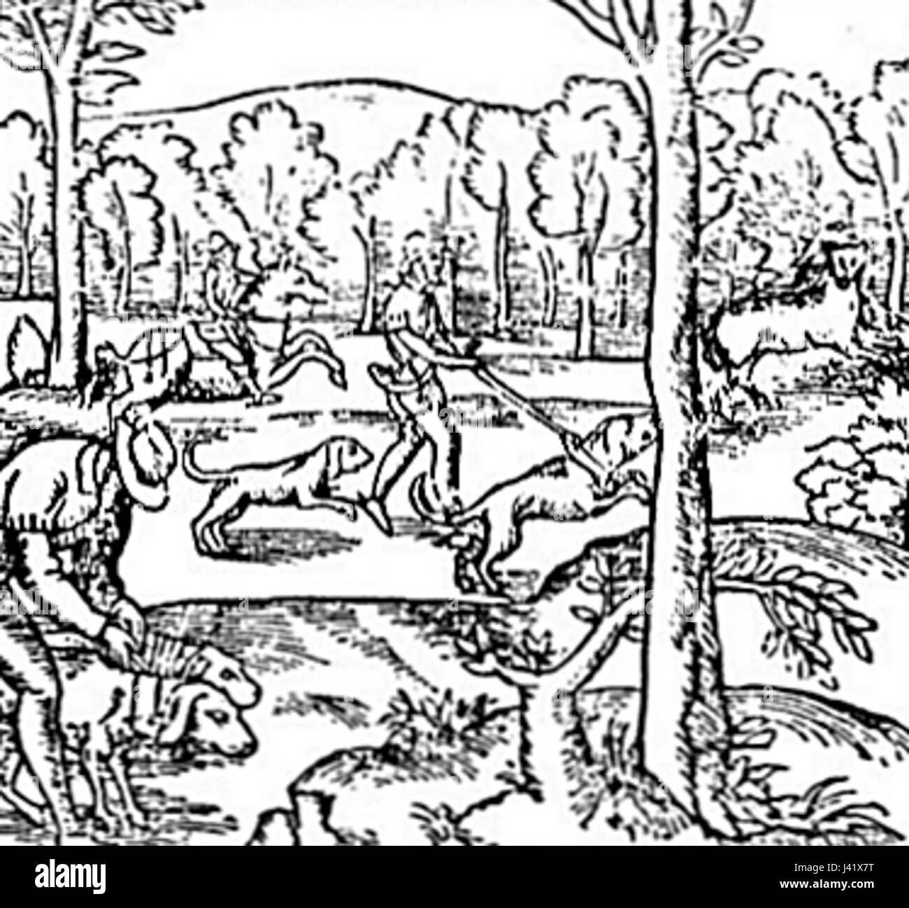 Mittelalterliche Wolfsjagd Stockfoto