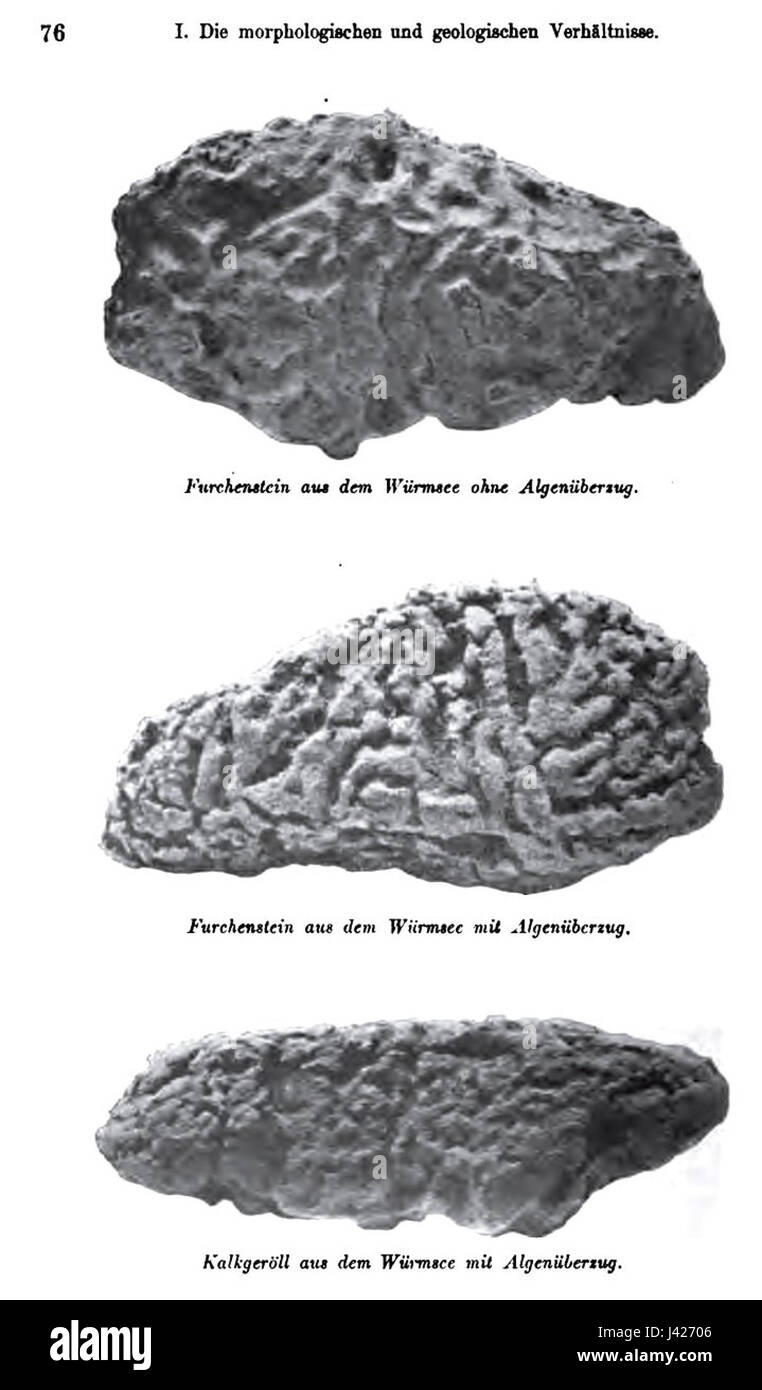Krustenstein Furchenstein StarnbergerSee Stockfoto