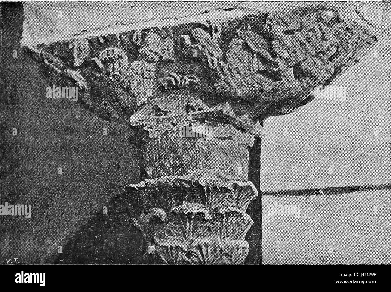 Meomartini Neapolitaner Benevento 419 Stockfoto