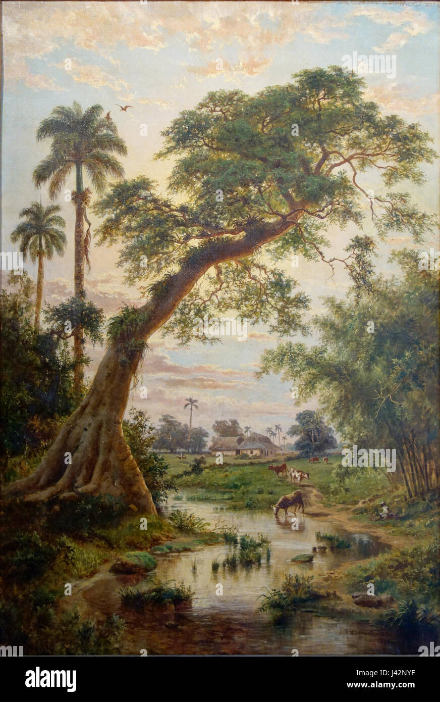 La Havanna Palacio de Los Capitanes Generales Esteban Chartrand paysage Stockfoto