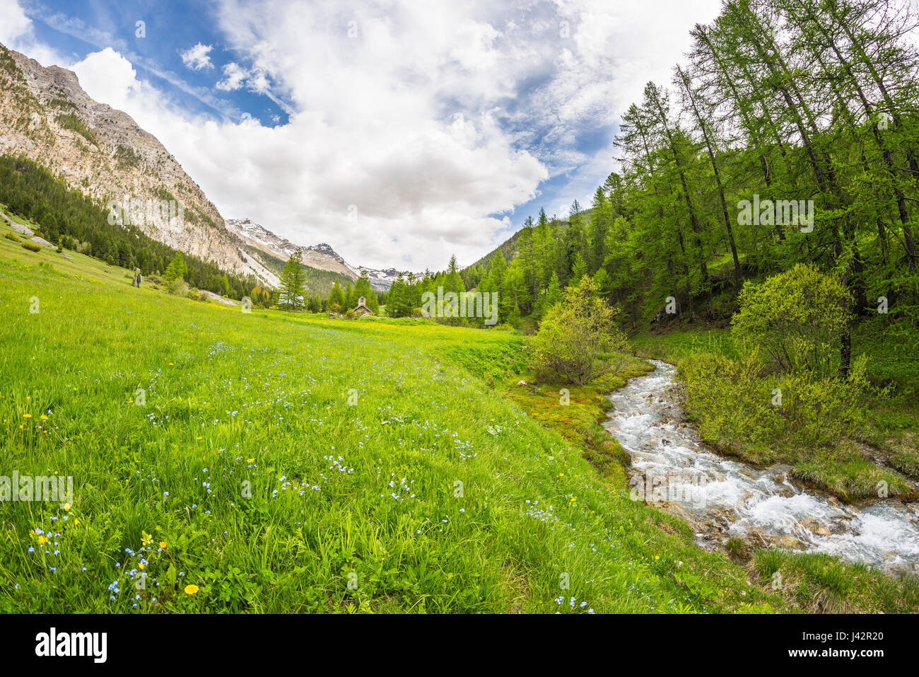 Fließt klares Wasser auf hoch gelegenen alpinen Stream in unberührten Idylle in den französischen Alpen. Ultra-Weitwinkel-Ansicht. Stockfoto