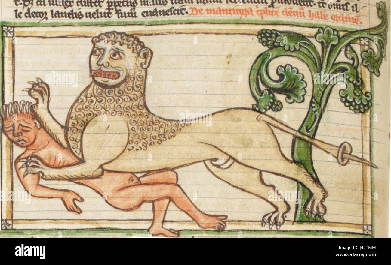 Eine Darstellung des manticore, einer mythischen Kreatur aus der persischen Mythologie mit dem Körper eines Löwen, dem Gesicht eines Mannes und dem Schwanz eines Skorpions. Stockfoto