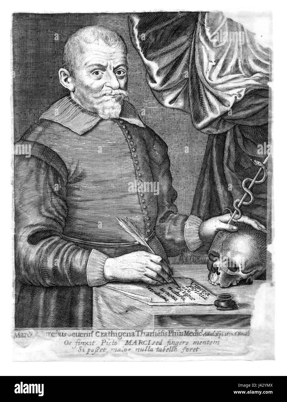 M. A. Severino Stockfoto