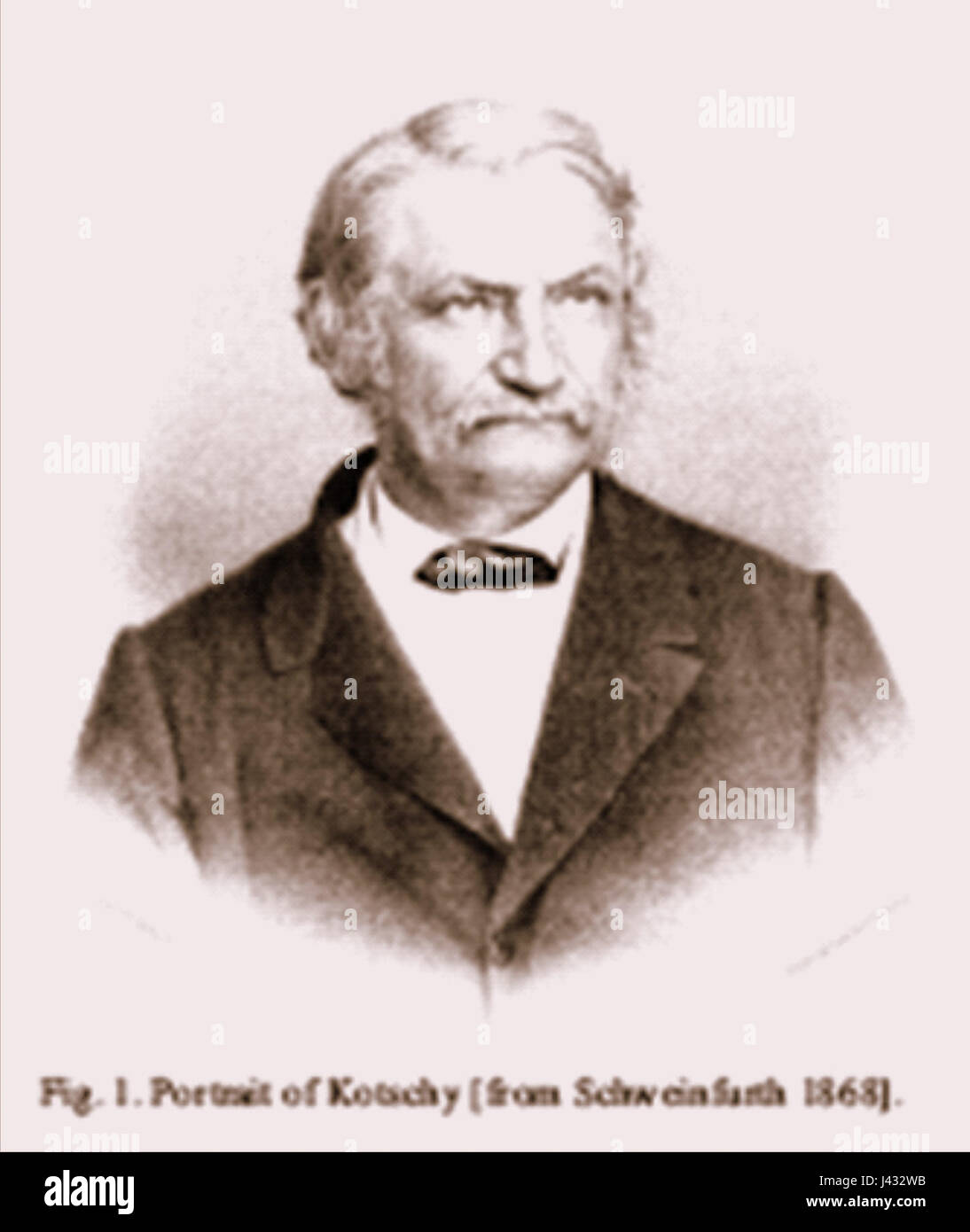 Kotschy bezieht sich auf den Namen eines Botanikers oder einer bemerkenswerten Figur, die mit Botanik-Studien assoziiert ist. Seine Werke sind wichtig für die Pflanzenklassifizierung und -Forschung und tragen in seiner Zeit maßgeblich zum Bereich der Botanik bei. Stockfoto