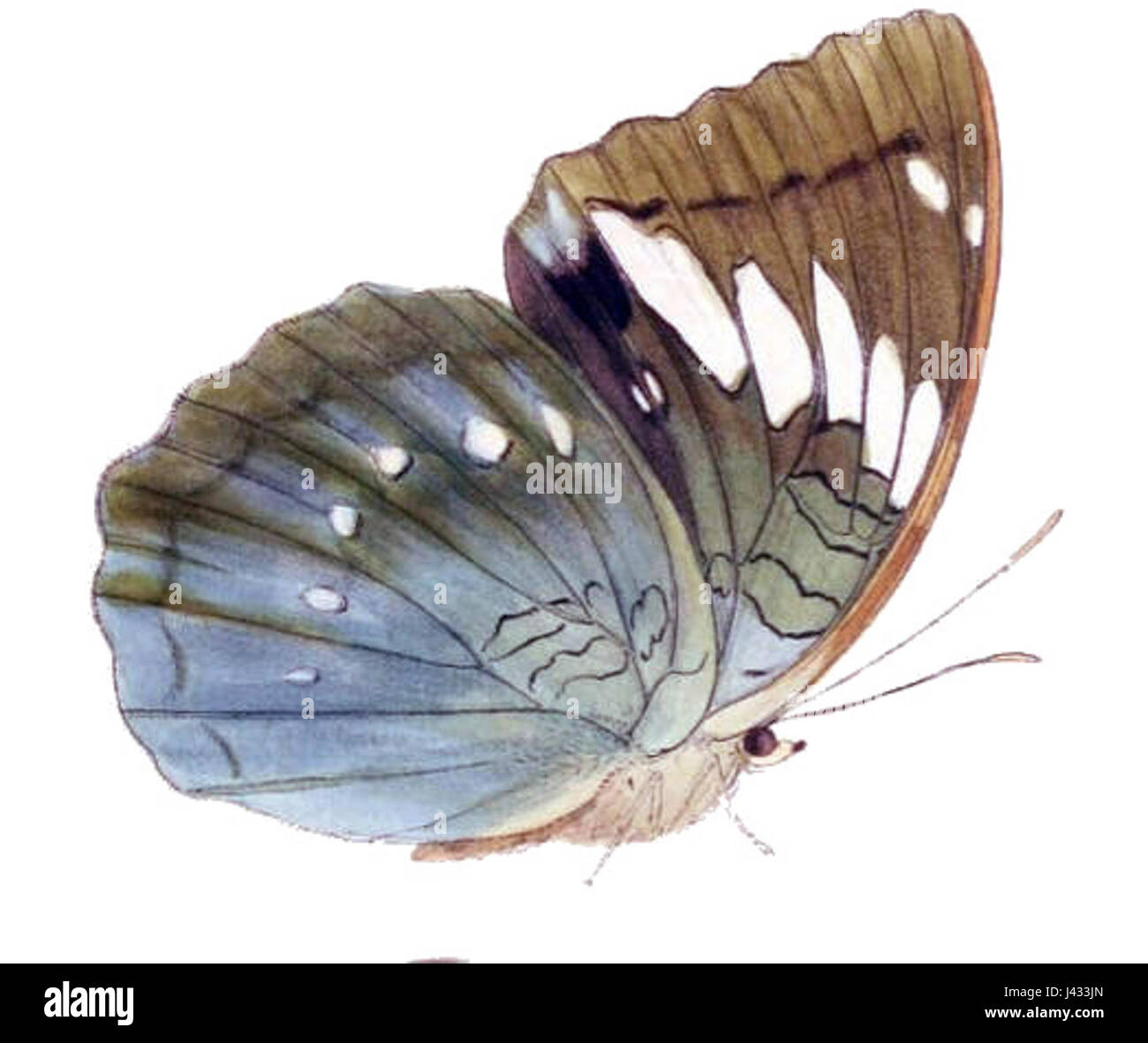 Diese Zeile scheint auf einen Namen oder eine Entity namens „Mahaldia IVA“ zu verweisen, ohne dass spezifische Kontextinformationen angegeben werden. Es kann sich auf einen persönlichen Namen, einen Ort oder ein Subjekt beziehen, das zusätzliche Erläuterungen erfordert. Stockfoto