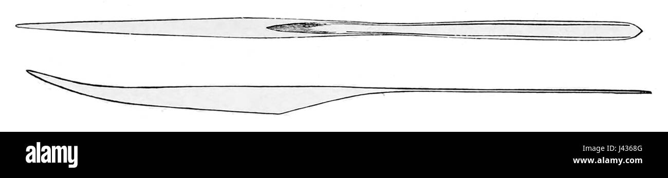 Mastigoteuthis agassizii gladius bezieht sich auf eine Art von Tiefsee-Tintenfischen, die allgemein als Glaskalmaren bekannt ist. Diese Lebewesen sind bekannt für ihre einzigartige Biolumineszenz und ihre transparenten Körper, die im tiefen Ozean leben, wo das Sonnenlicht nicht erreicht. Die Art gehört zur Familie der Mastigoteuthidae und spielt eine Rolle in den Meeresökosystemen. Stockfoto