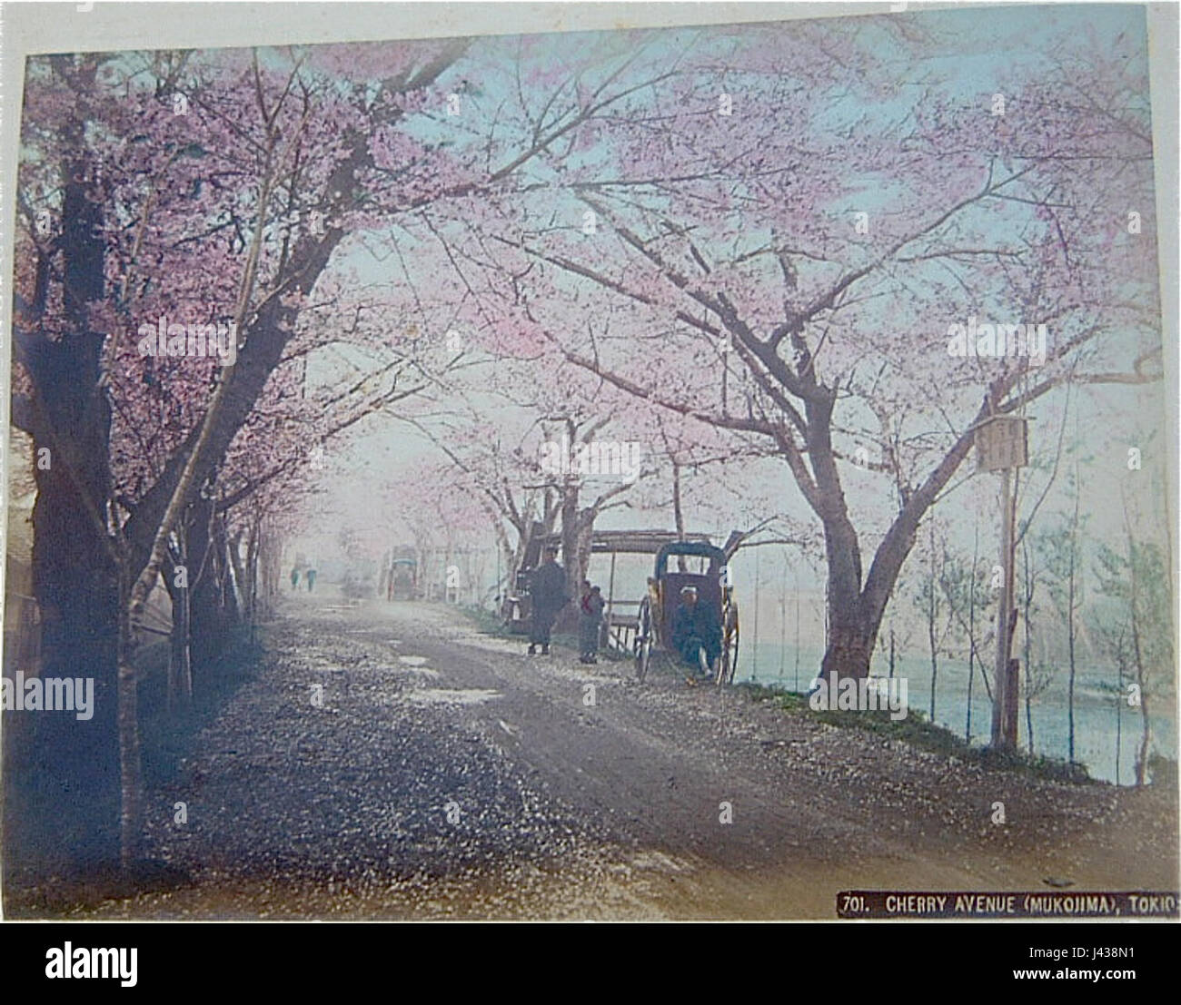 Kusakabe Kimbeiâ Fotografie mit dem Titel „701 Mukojima“ ist ein historisches Bild, das die Stadtlandschaft von Mukojima, einem Viertel in Tokio, erfasst. Dieses Werk beleuchtet das japanische Leben und die Architektur des 19. Jahrhunderts während der Meiji-Zeit. Stockfoto