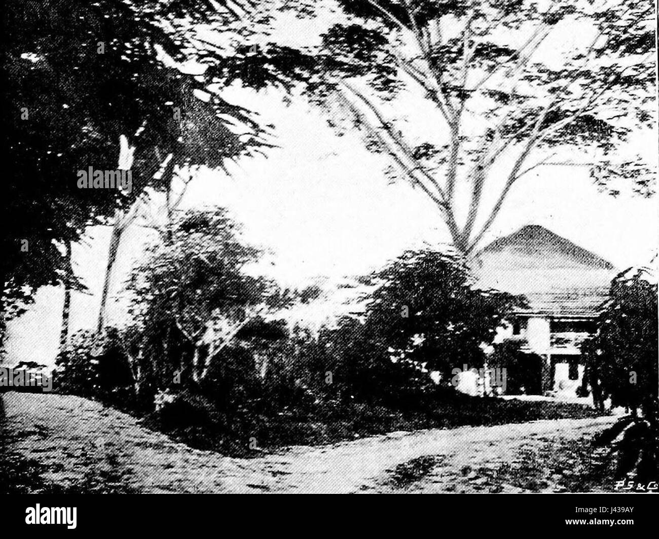 Kudat Residency bezieht sich auf ein historisches Verwaltungsgebäude in Kudat, Malaysia. Es diente als offizielle Residenz für Kolonialverwalter während der britischen Herrschaft in der Region. Das Gebäude spiegelt die koloniale Architektur und das Erbe der Region wider. Stockfoto