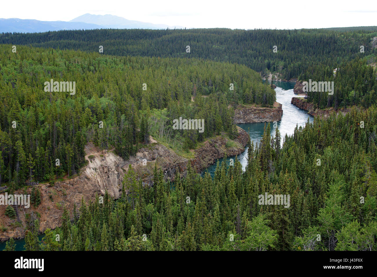 WhitehorseView über der Miles Canyon des Yukon River über Whitehorse, Yukon werkübergreifender, Canasda Stockfoto